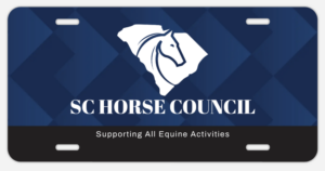 1-Dark Blue License Plate